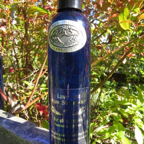 Lavender Pure Shampoo